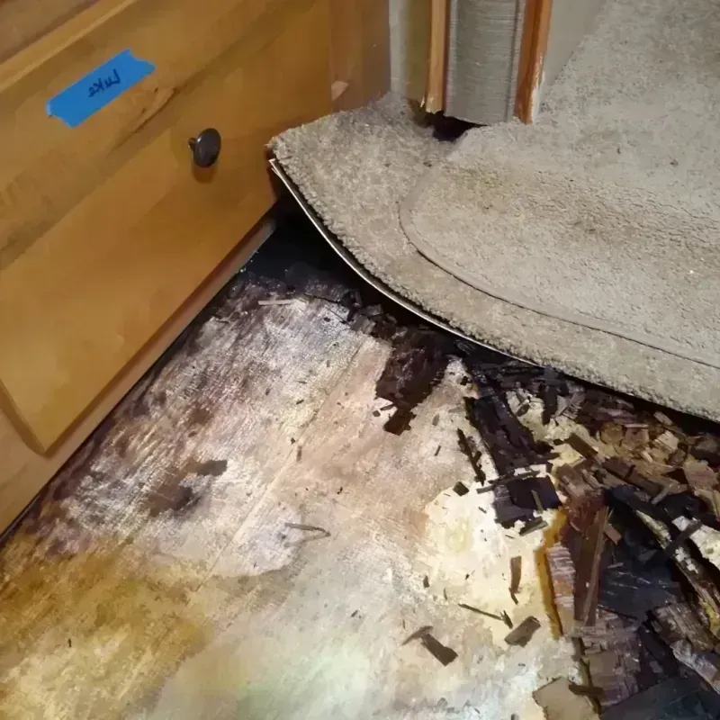 Best Wood Floor Water Damage Service in Colquitt, GA